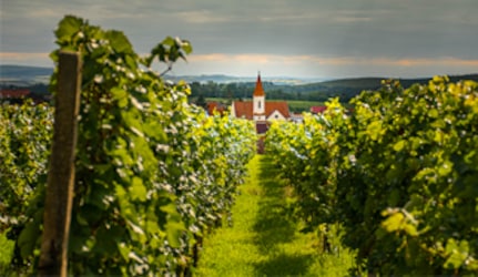 Mikulovská podoblast