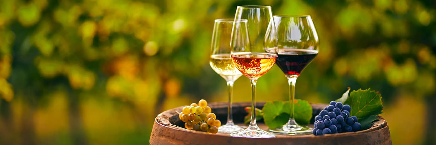 Vína z Moravy, vína z Čech