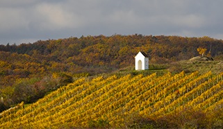 Znojemská podoblast