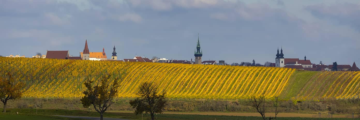 Znojemská podoblast