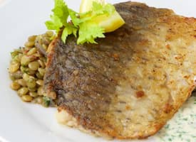 Kapří filet na grilu čočkové ragů, koprová omáčka