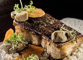 Sumec s kroupovým rizotem