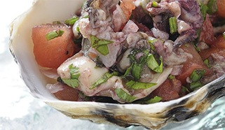 Archonský tatar z ústřic