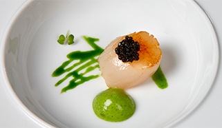 Opečená mušle svatého Jakuba se salátovou espumou a kaviárem