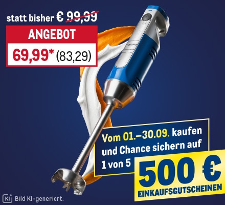 Stabmixer