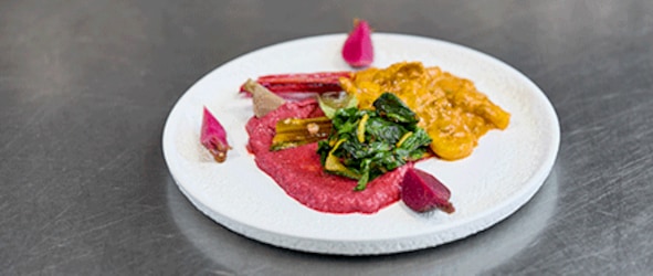 Rote-Bete-Vielfalt