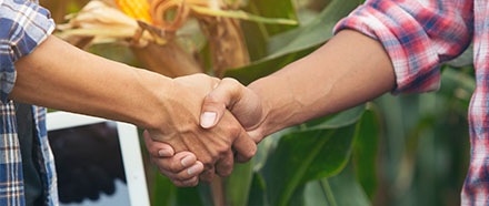 Nachhaltigkeitsziele