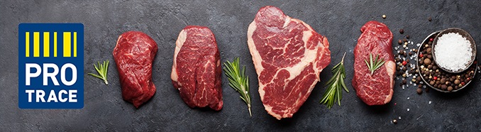 Protrace Fleisch