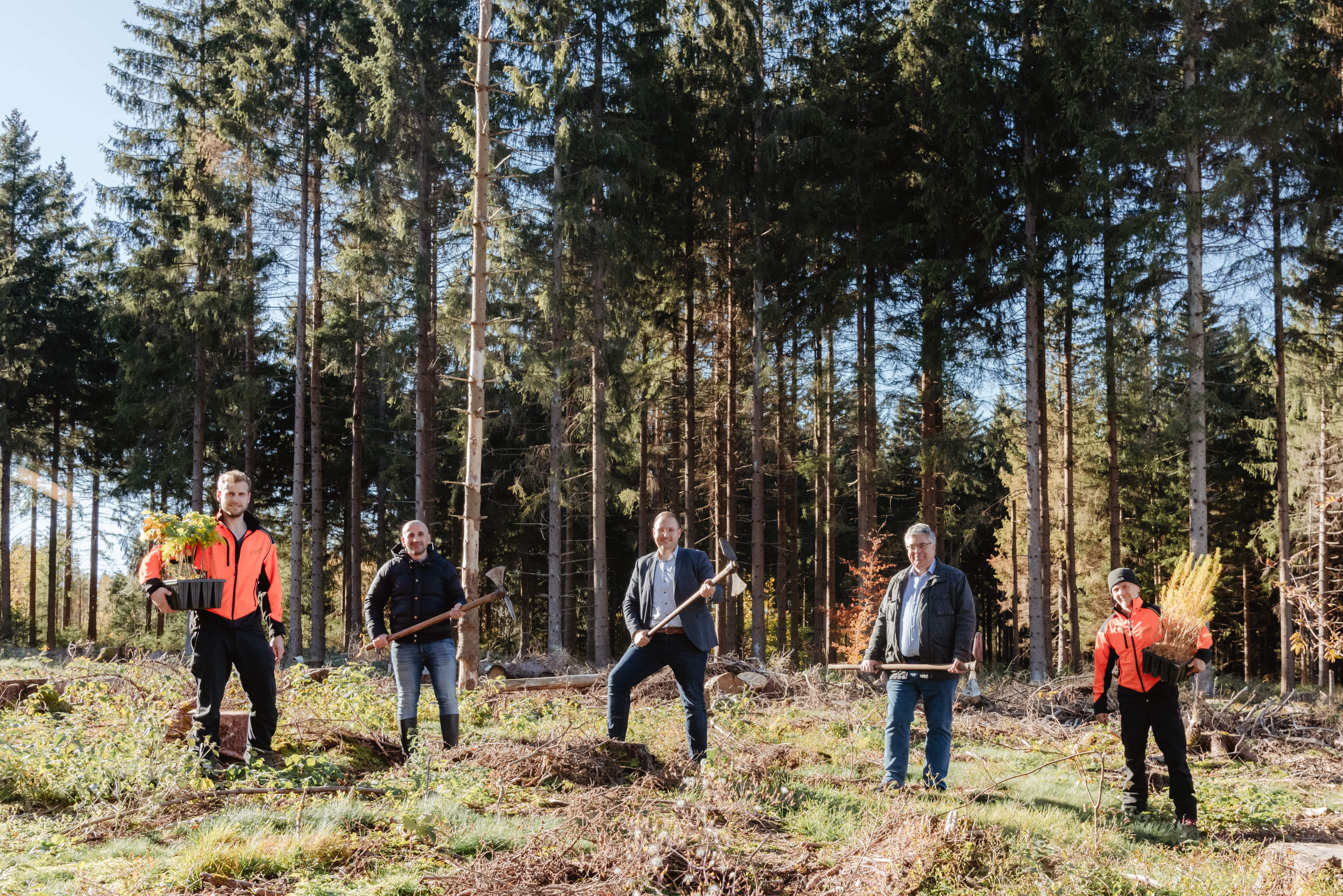 Pflanzung im Forstrevier Braunlage 