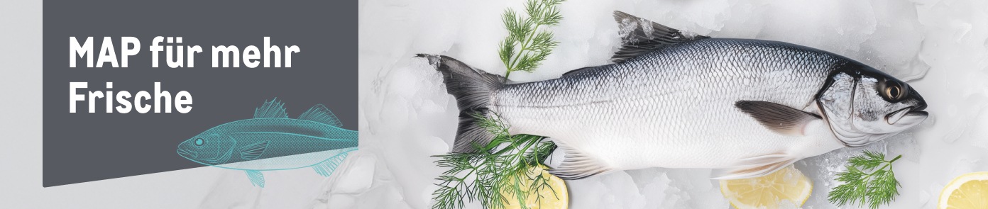 MAP Fisch