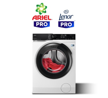 Ariel Lenor