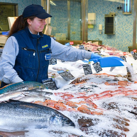 Nachhaltiges Fischsortiment bei METRO Deutschland