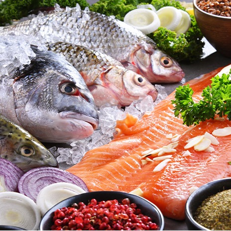 Fettfisch oder nicht?