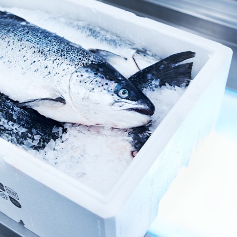 Auszeichnung für umweltschonende Gebäudetechnik 