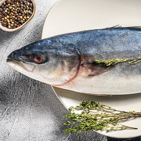 Frischer Hamachi - eine Delikatesse