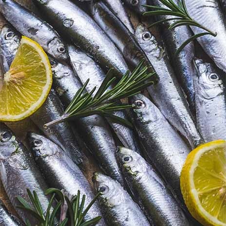 Wie aus dem frischen Fisch eine Feinkost wird