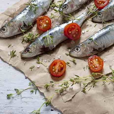 Sardinen: ein gesunder Speisefisch