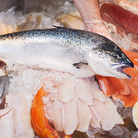 Frischen Seelachs kaufen