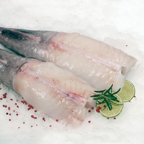 Seeteufel filetieren 