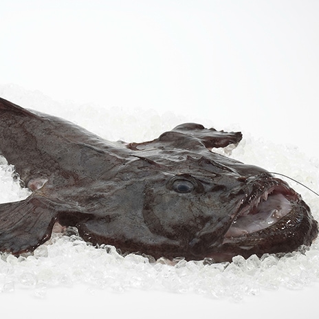 Ein guter Jäger und Räuber