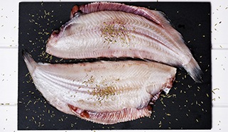 Frische Seezunge kaufen: der mild-würzige Edelfisch