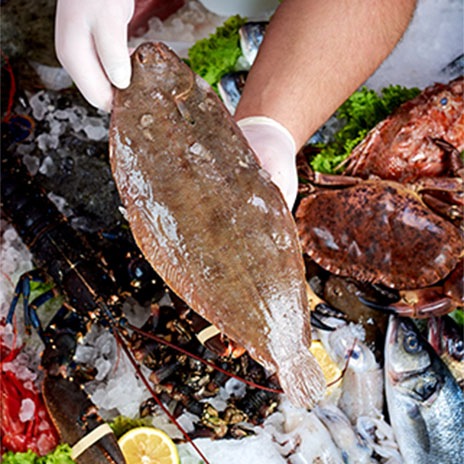 Der Edelfisch ist ganzjährig zu haben