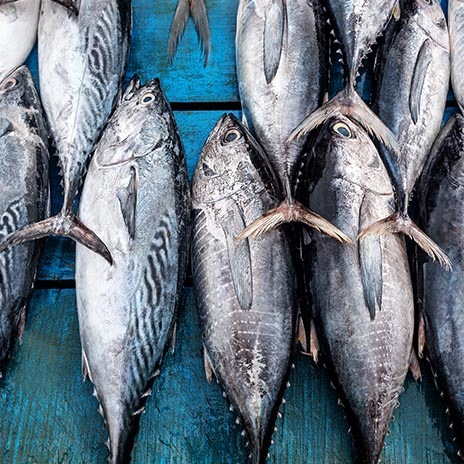 Auf der ganzen Welt beliebt