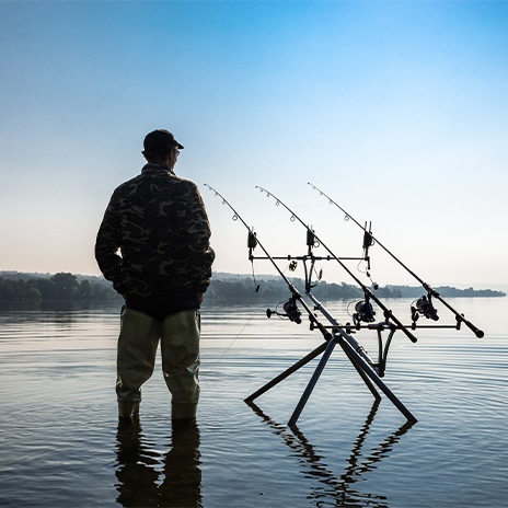 Karpfen frisch angeln