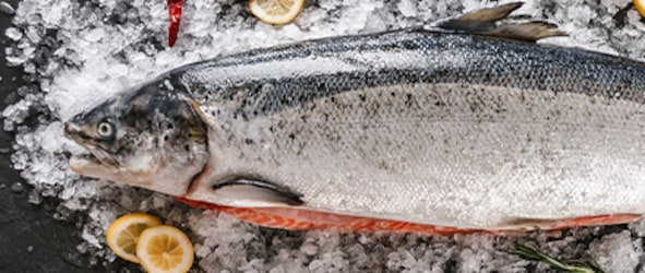 Lachs, ganz