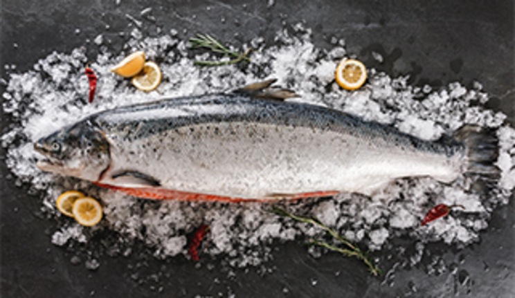 Lachs