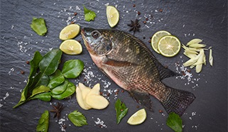 Tilapia