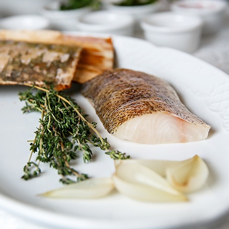 In Elbe, Oder und Donau zu Hause