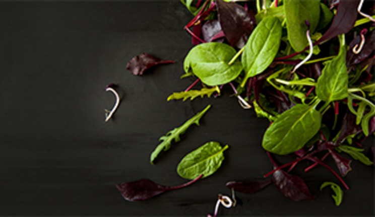 Gemischter Salat