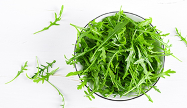 Rucola