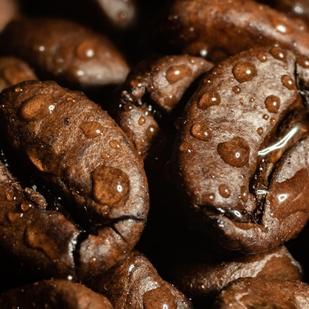 Entkoffeinierter Kaffee: Extraktion