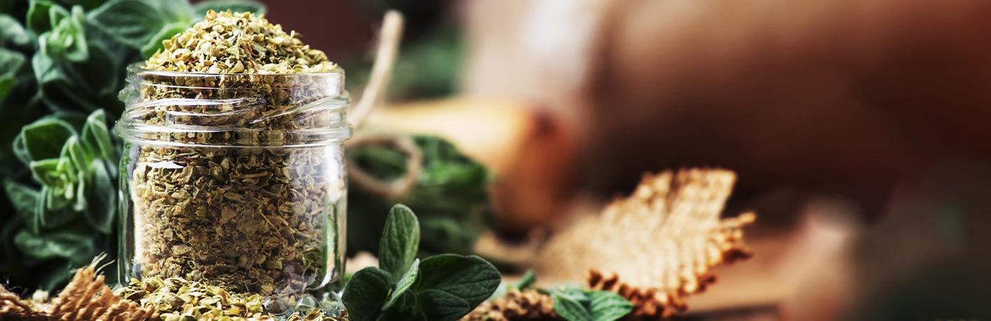 Oregano 