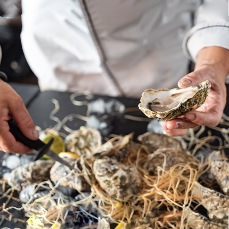 Frische Austern
