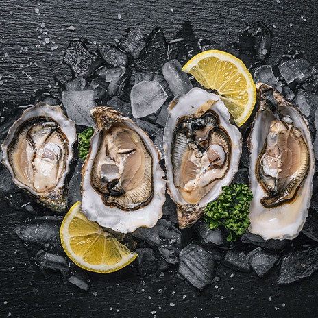 Austern kaufen