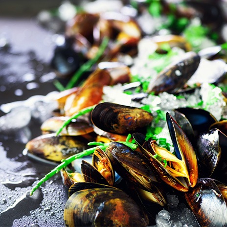 Wann sollte man Miesmuscheln kaufen?