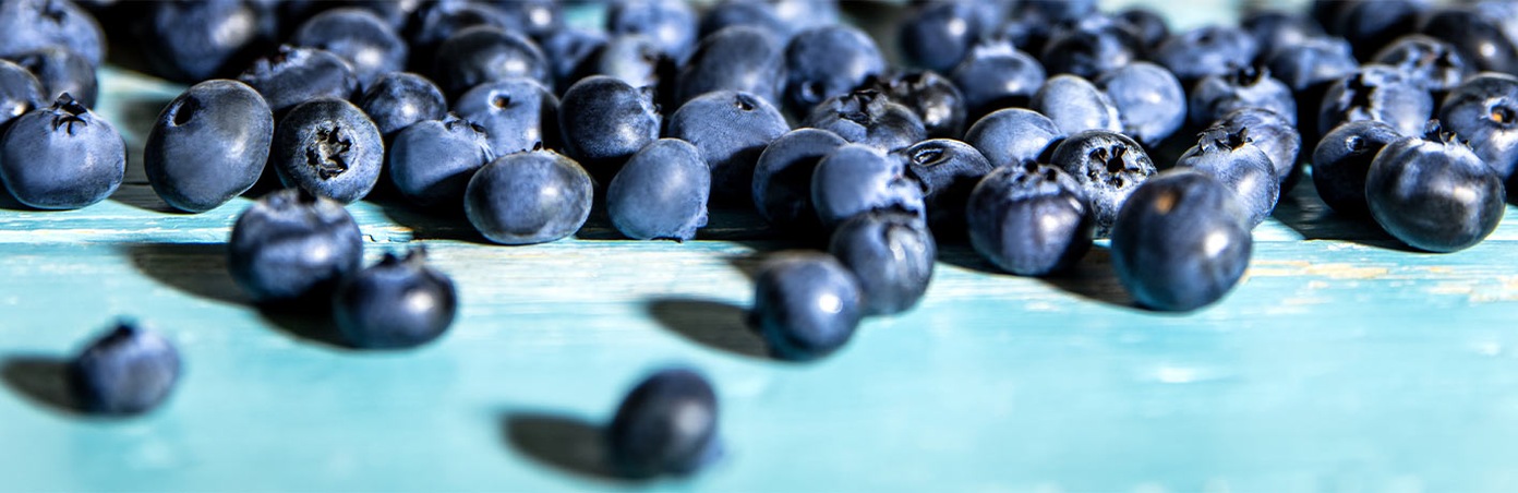 Heidelbeeren