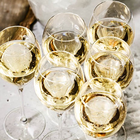 Trauben aus besten Lagen