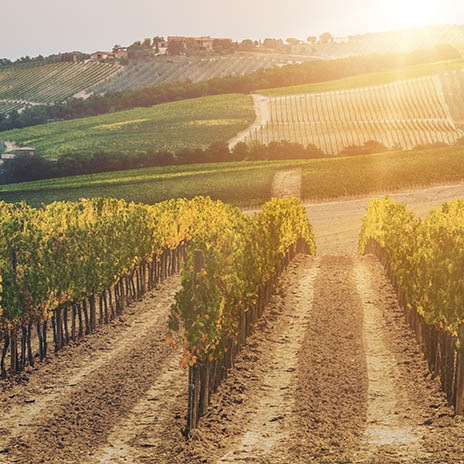 Herkunftsbezeichnung