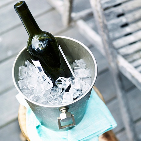 Wein für jeden Anlass