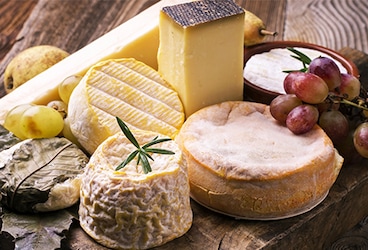 Käse