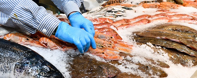 Frischfisch in der Fischhalle METRO Düsseldorf
