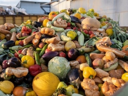 Ley de prevención de las pérdidas y el desperdicio alimentario