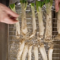 Calçots