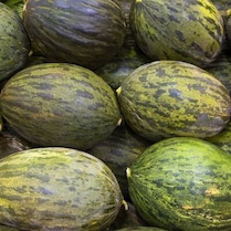 Melón