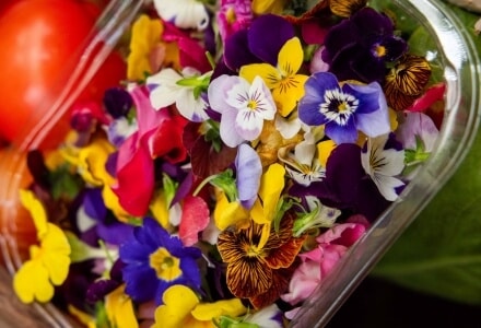Conservación de flores comestibles