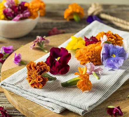 15 Flores comestibles que puedes tener en tu jardín para tus recetas